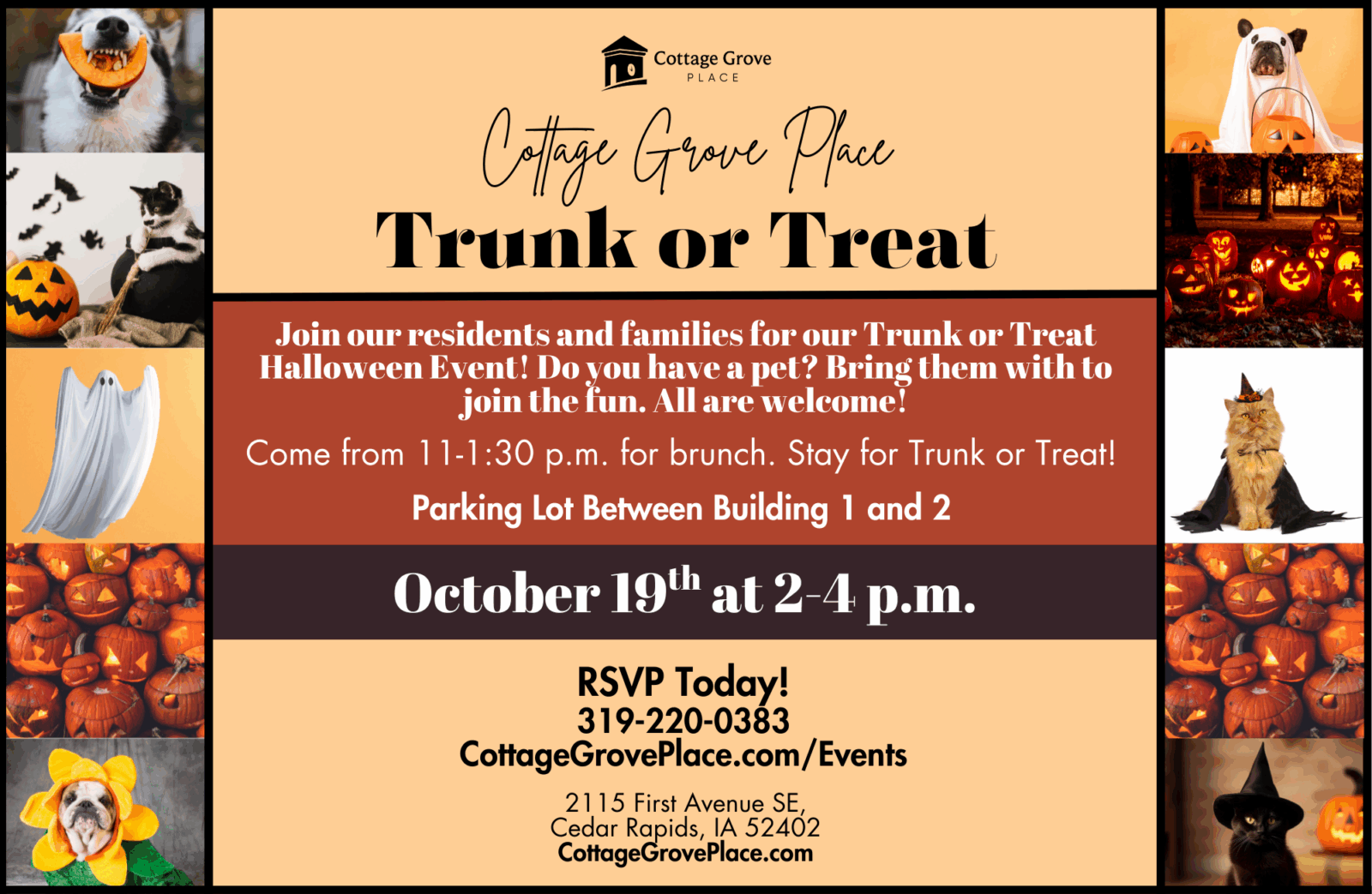 trunk-or-treat